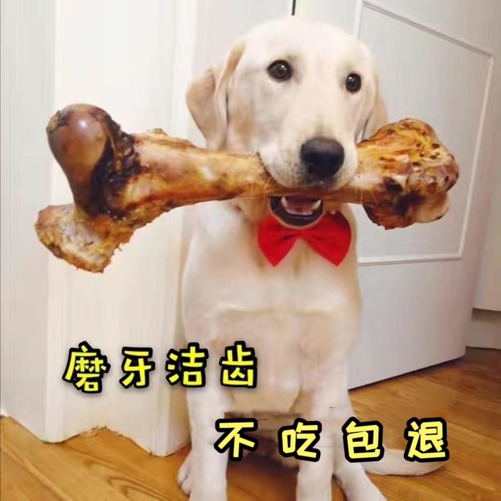 自制牛棒骨磨牙棒狗幼犬泰迪金毛骨头狗狗零食大型犬补钙咬胶耐咬