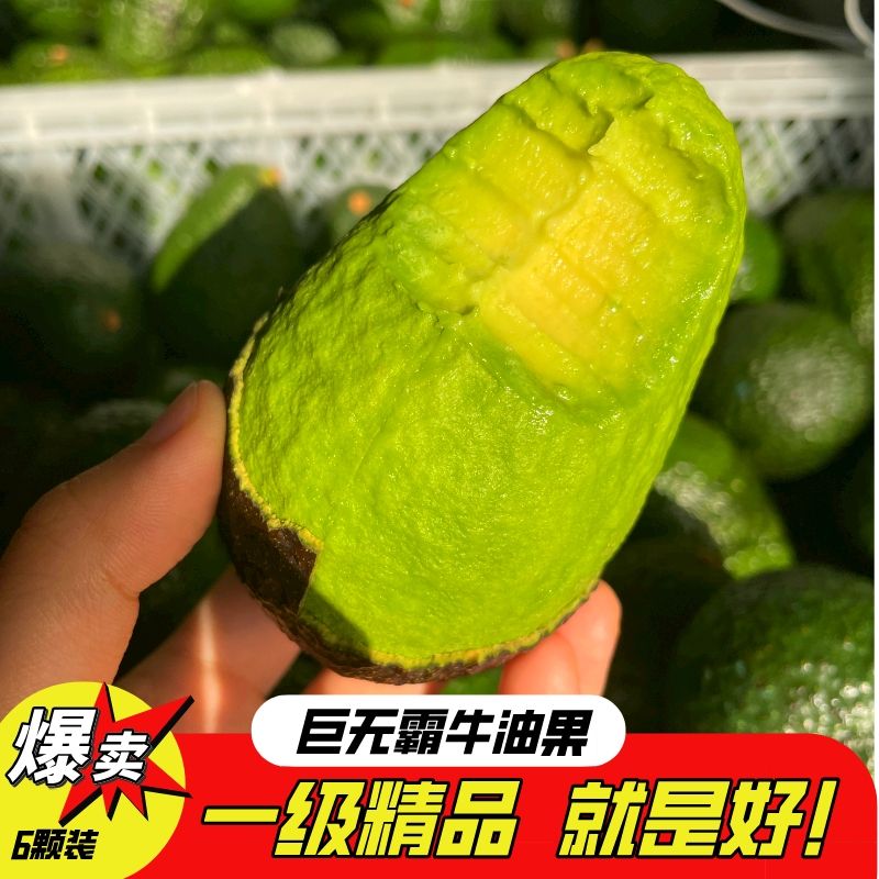 【优先发货】巨无霸牛油果批发新鲜水果孕妇宝宝辅食批发整箱当季