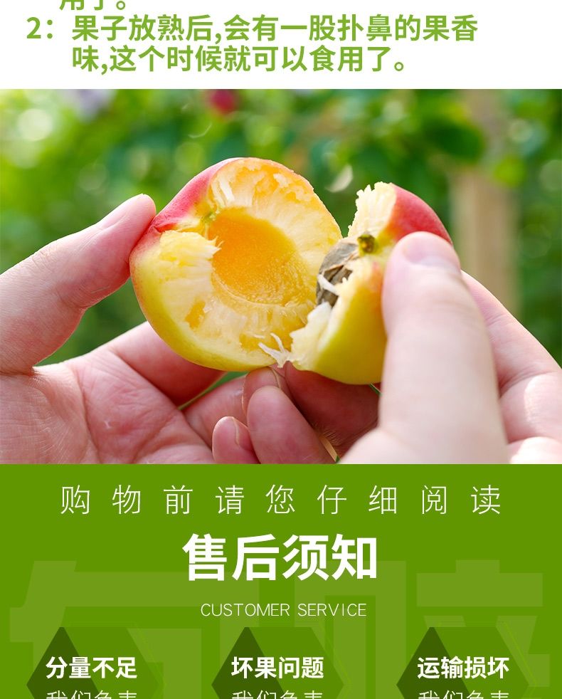 2023现摘黄杏子新鲜水果当季天水时令孕妇酸甜脆鲜杏丰源红包邮