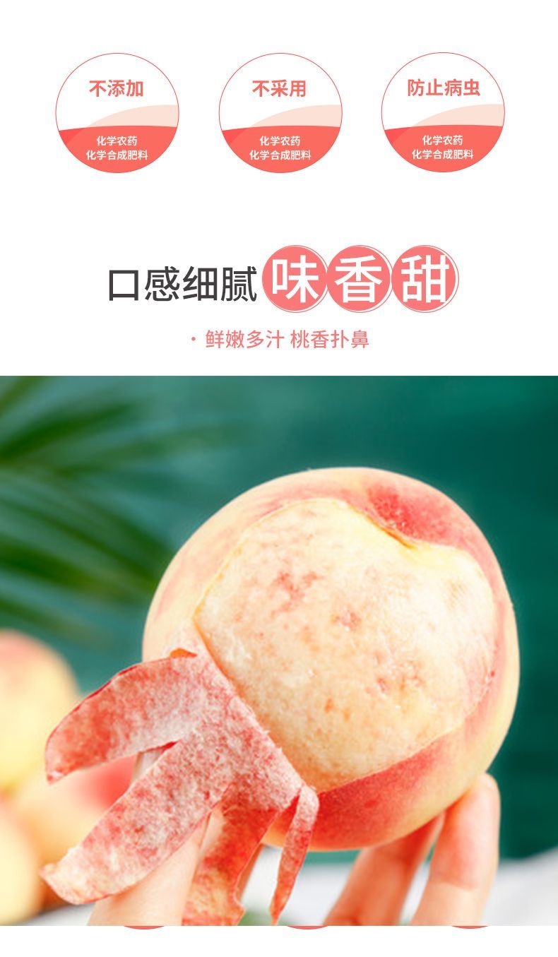 桃子新鲜龙泉水蜜桃现摘当季孕妇水果批发一整箱超甜撕皮软桃毛桃