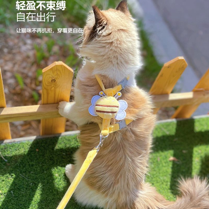 猫咪牵引绳防挣脱外出专用小狗牵引绳宠物背带链子可调节遛猫绳子