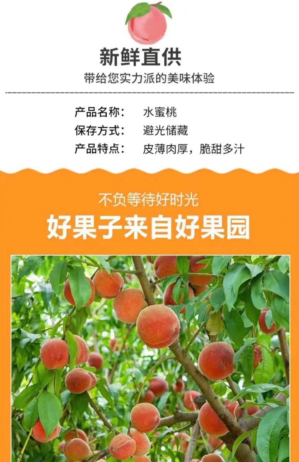 【爆甜】头茬水蜜桃应季水果薄皮毛桃现摘水果孕妇水果大桃子新鲜