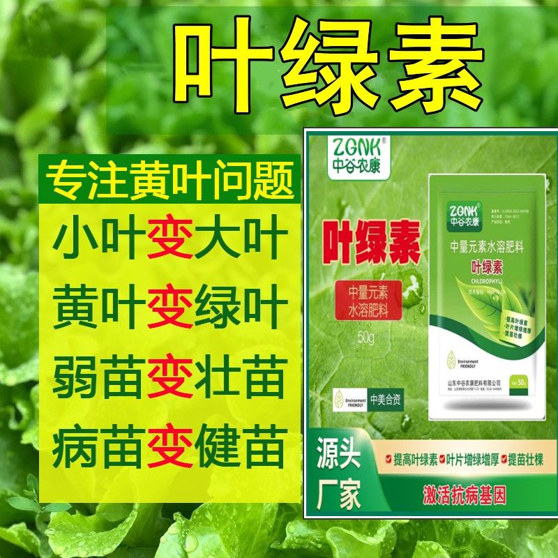 叶绿素助苗壮叶面肥叶片增绿增厚抗逆强提苗壮棵中量元素水溶肥料