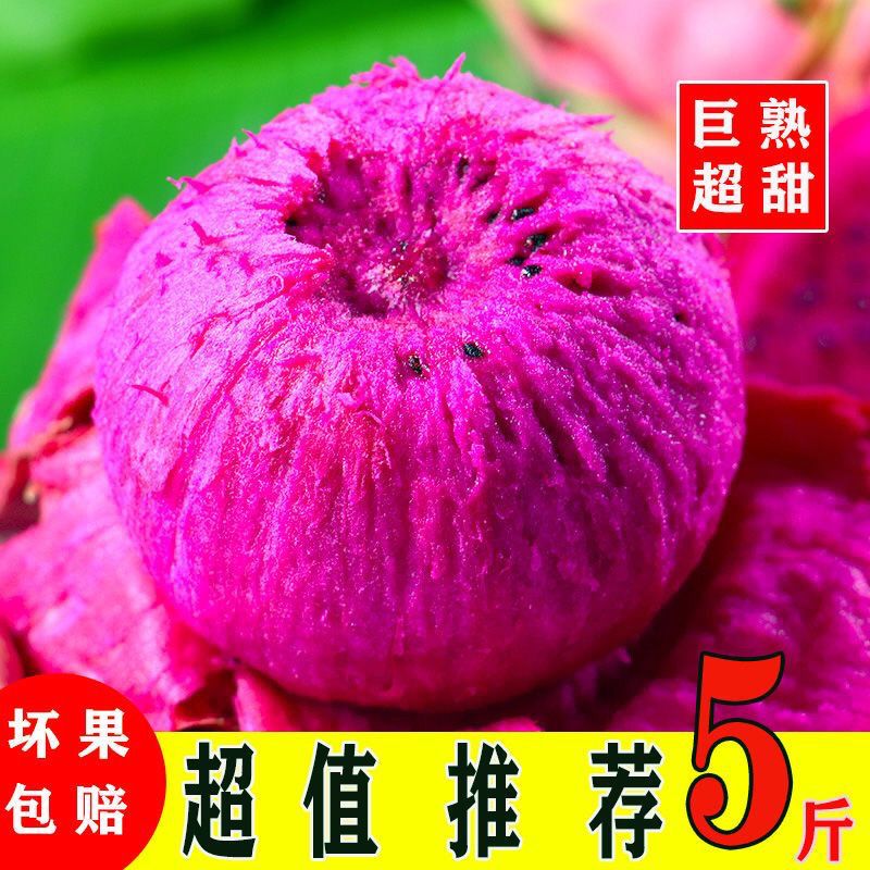 正宗海南金都一号红心火龙果超甜应季新鲜水果整箱批发价3/5/斤