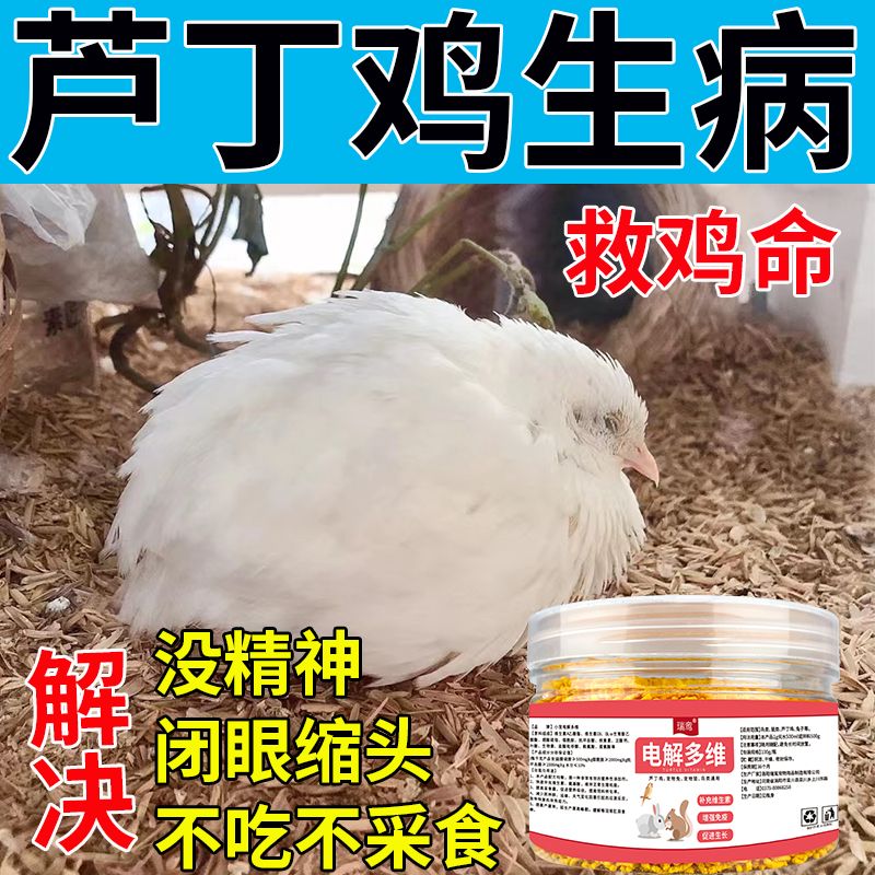 芦丁鸡电解多维芦丁鸡秃背无毛防溅多种维生素抗应激提高产蛋受精