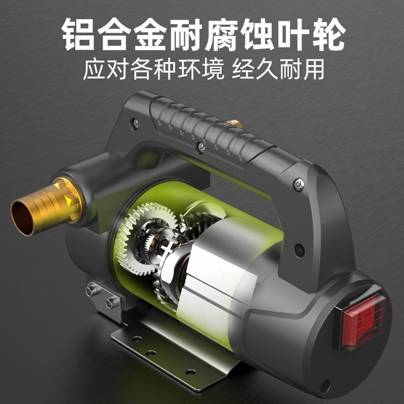 德国芝浦电动抽油泵12V24V正反转小型自吸泵柴油泵加油机设备神器