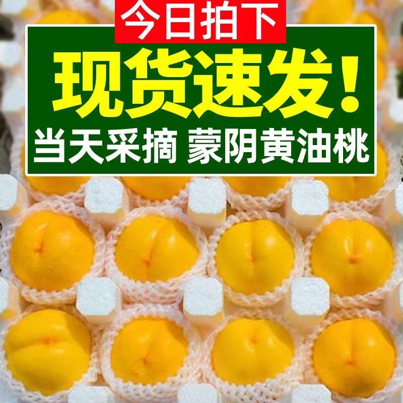 现货沂蒙山脆桃新鲜黄金油桃孕妇应季时令水果山东蒙阴当季黄肉桃