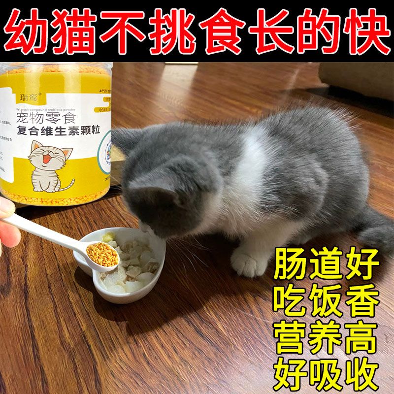 幼猫不吃饭挑食厌食专用开胃助消化增强抵抗力幼猫益生菌小猫零食