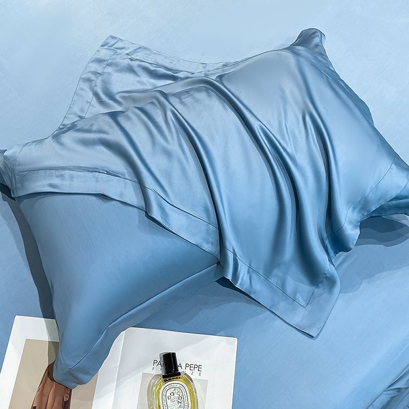 夏季天丝枕套一对装家用真丝枕头套48x74cm枕芯保护内胆套冰凉枕