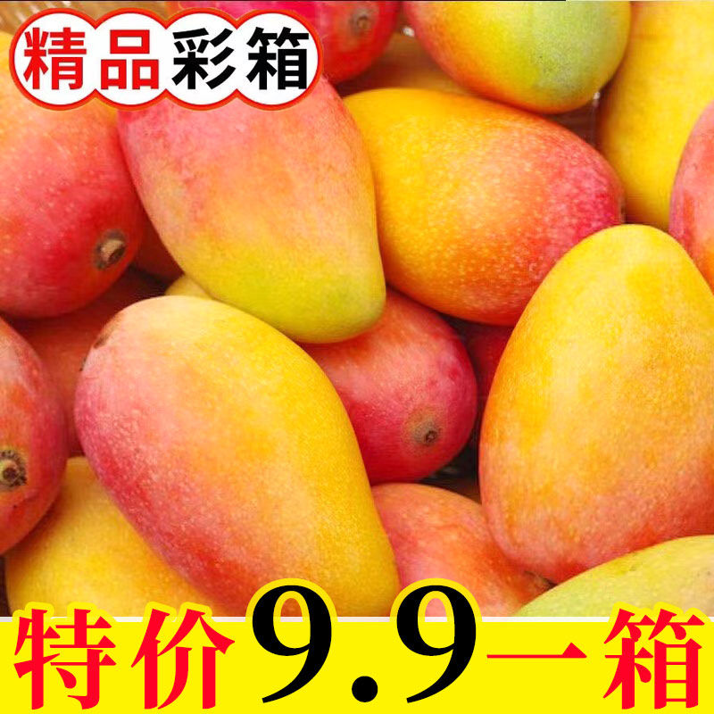 正宗广西贵妃芒果当季新鲜水果4.8斤80g起一整箱批发应季爆甜多汁