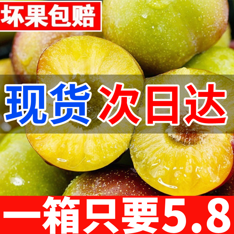 四川脱骨李子水果新鲜脱骨李子脆茵红李当季半边红脆李子现货甜脆