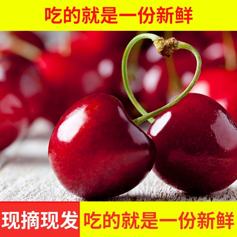 正宗山东烟台大樱桃新鲜水果美早国产车厘子当季孕妇冷链直发包邮