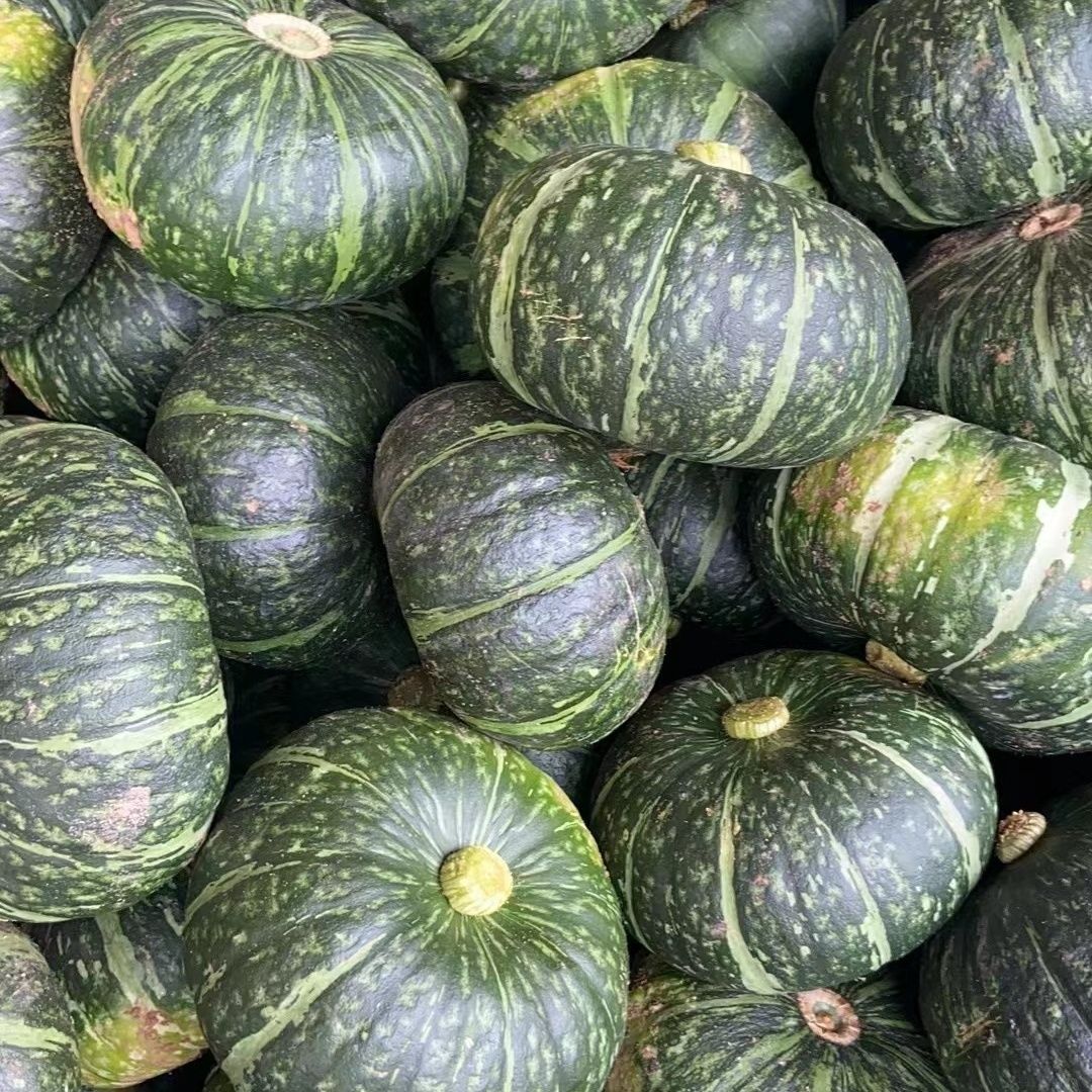 正宗四川板栗南瓜非贝贝南瓜当季新鲜板栗南瓜