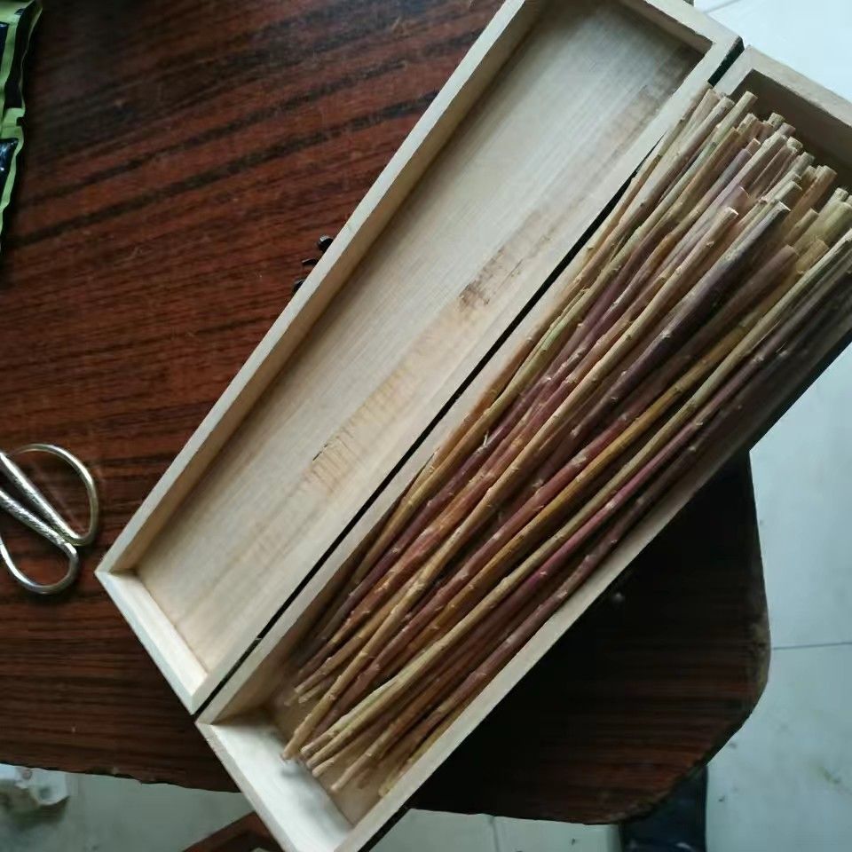 易经占卜用蓍草