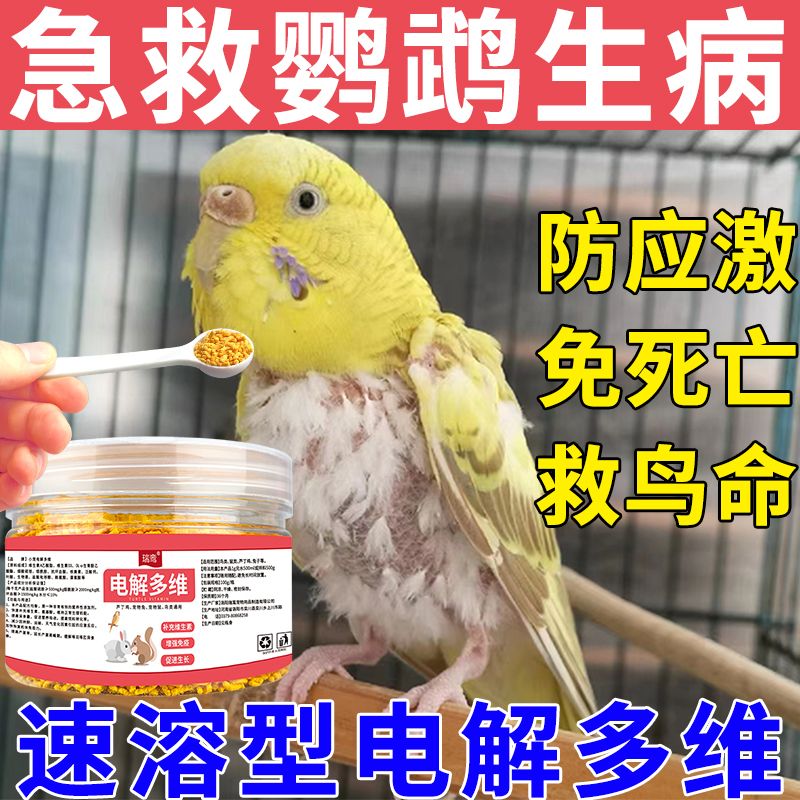 鸟专用电解多维专治鹦鹉抗应激增强体质鹦鹉不吃喝没精神鸟类用品