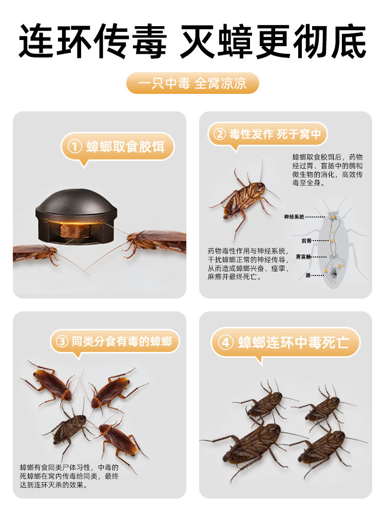 日本灭蟑螂药除蟑螂屋家用正品一锅全窝端无毒厨房强力灭蟑螂神器