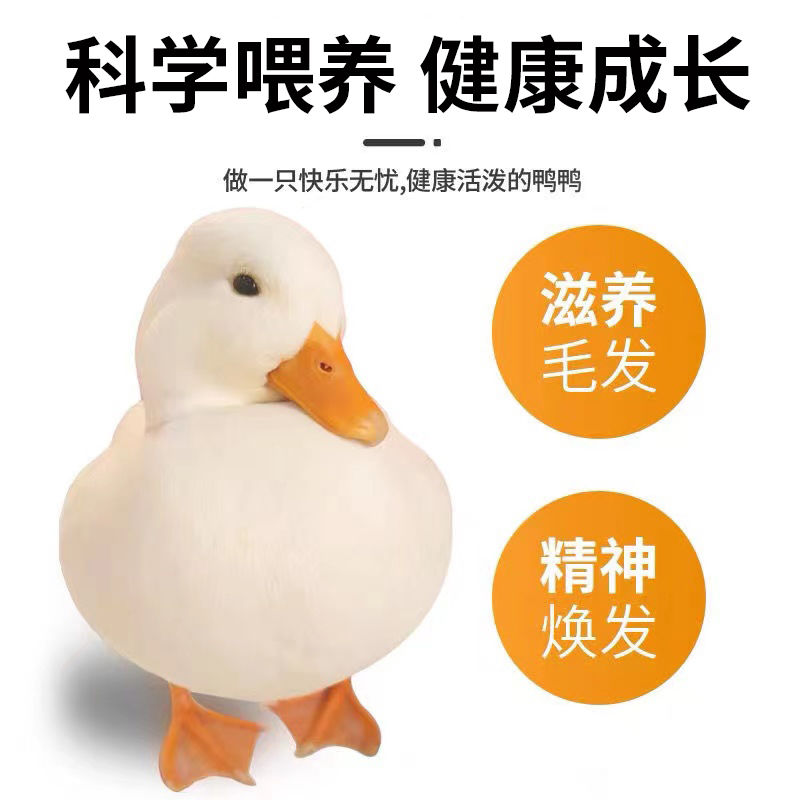 柯鸭鸭子电解多维专用饲料维生素解决厌食不吃饭生病快速开胃增肥
