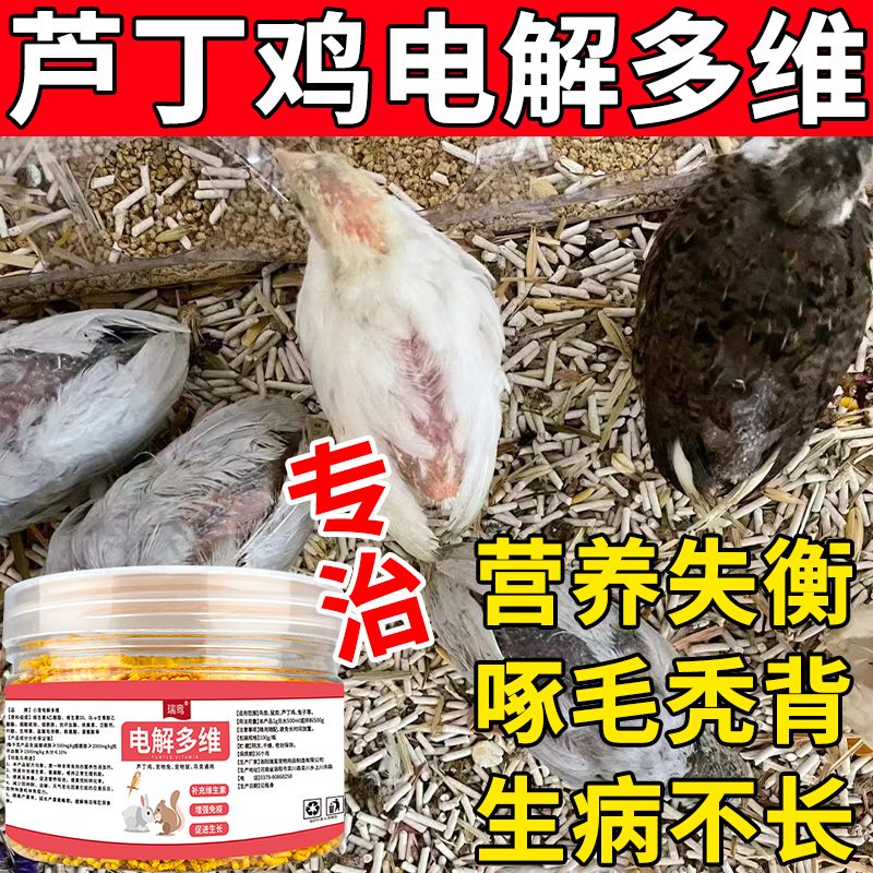 芦丁鸡电解多维专治秃背无毛不产蛋补充多种维生素芦丁鸡必备用品
