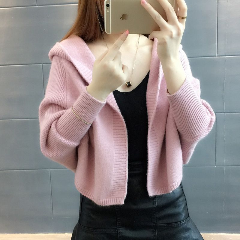 Autumn women's cardigan sweater jacket women's clothing 2023 new Korean version solid color loose all-match student hooded sweater