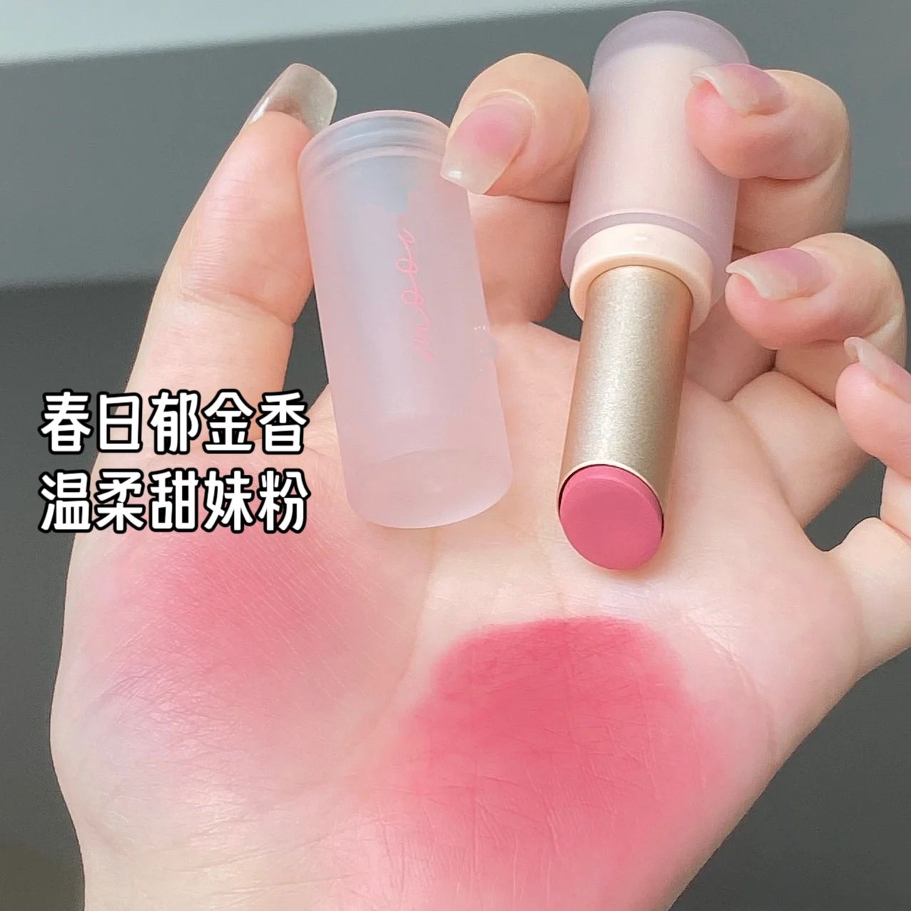 春日甜妹粉低飽和灰粉口紅啞光霧面防水不掉色磨砂清冷美人色唇泥