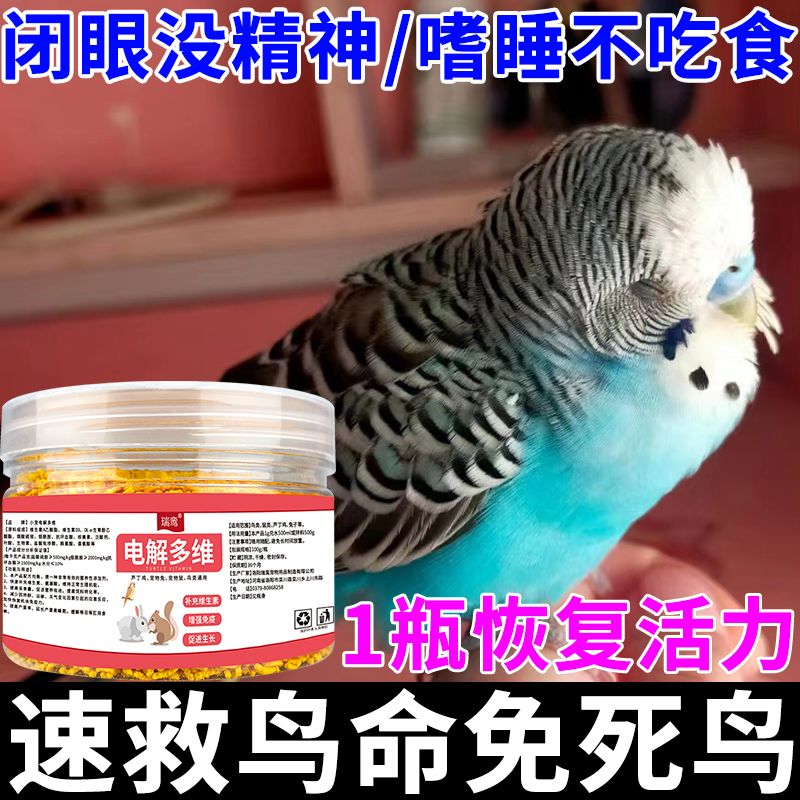 鸟用电解多维电解质鹦鹉抗应激增强体质鹦鹉不吃喝没精神鸟类用品