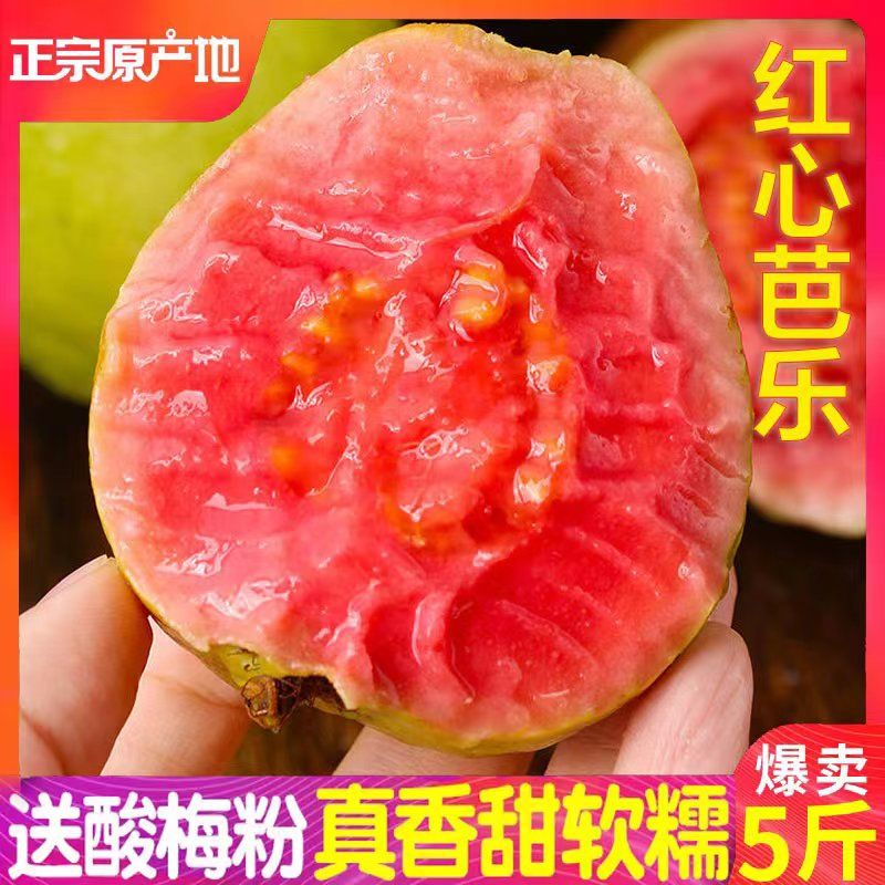 【精品软糯香】广西软心红心芭乐番石榴新鲜水果香甜软鸡屎果包邮