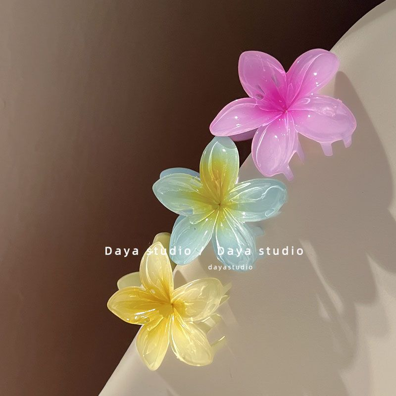 Summer Super Fairy Vacation Wind Plumeria Grab Shark Clip Acrylic Flower Hair Grab Hair Accessories Back of the Head Plate Hair Clip