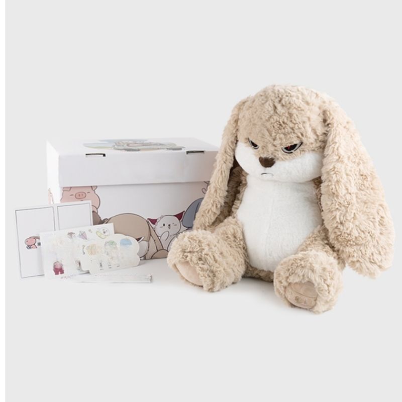 小红书原创丢丢兔毛绒玩具公仔可爱兔子娃娃安抚玩偶女生生日礼物