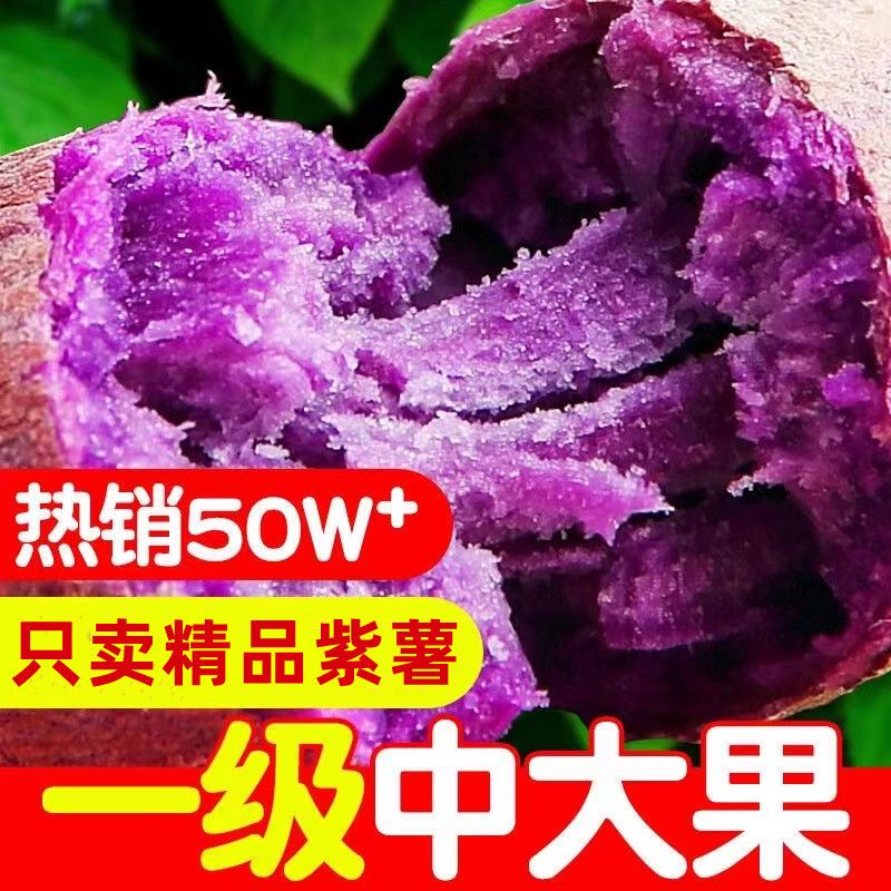 【精品紫薯】新鲜紫薯10斤紫罗兰红薯沙地蜜薯地瓜蔬菜批发1斤