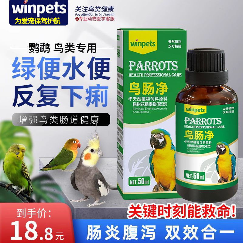 鹦鹉拉稀药八哥玄风常见病用药鸽子药水便绿便下痢肠炎鸟类专用药
