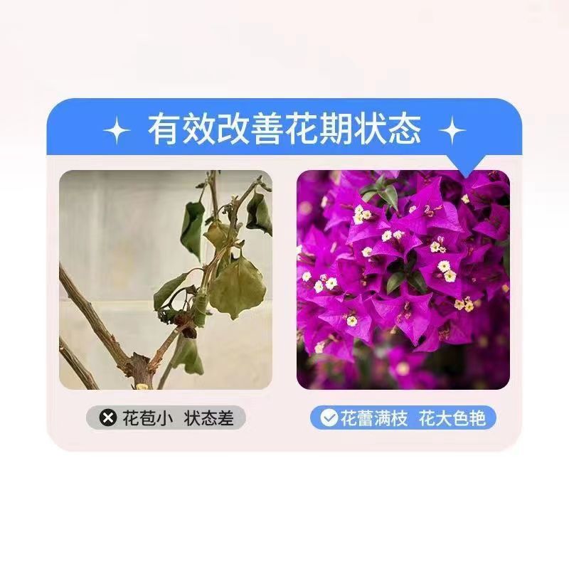 三角梅肥料专用肥植物营养液梅花盆栽家用花卉养花促开花腊梅通用