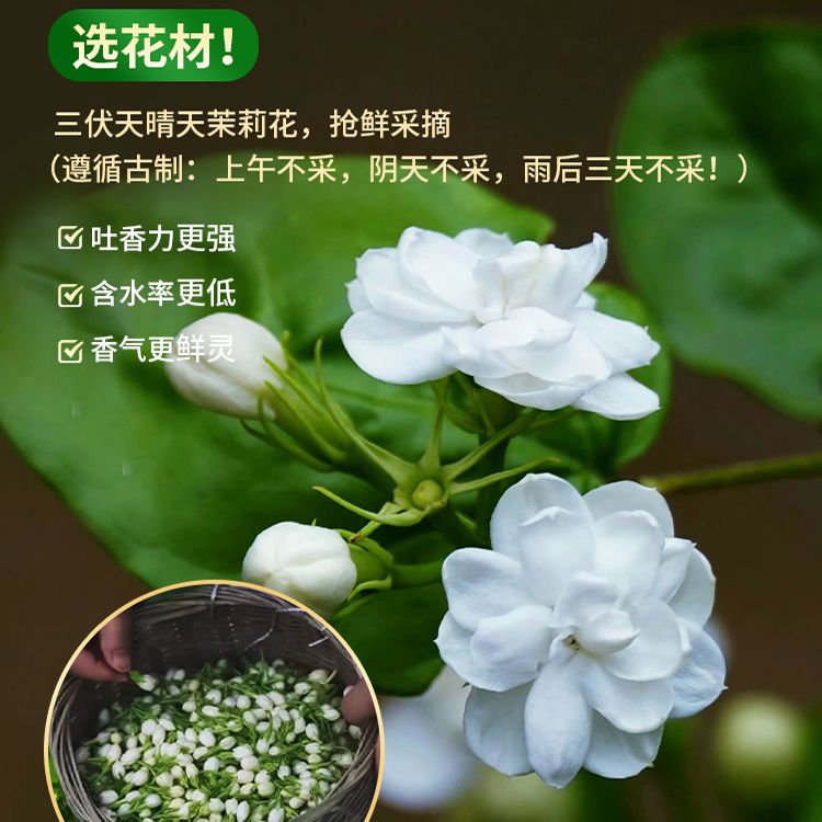 【2袋装】吴裕泰茶叶花茶茉莉花茶特种茉莉锦毫茉莉花茶50g*2 图片 6