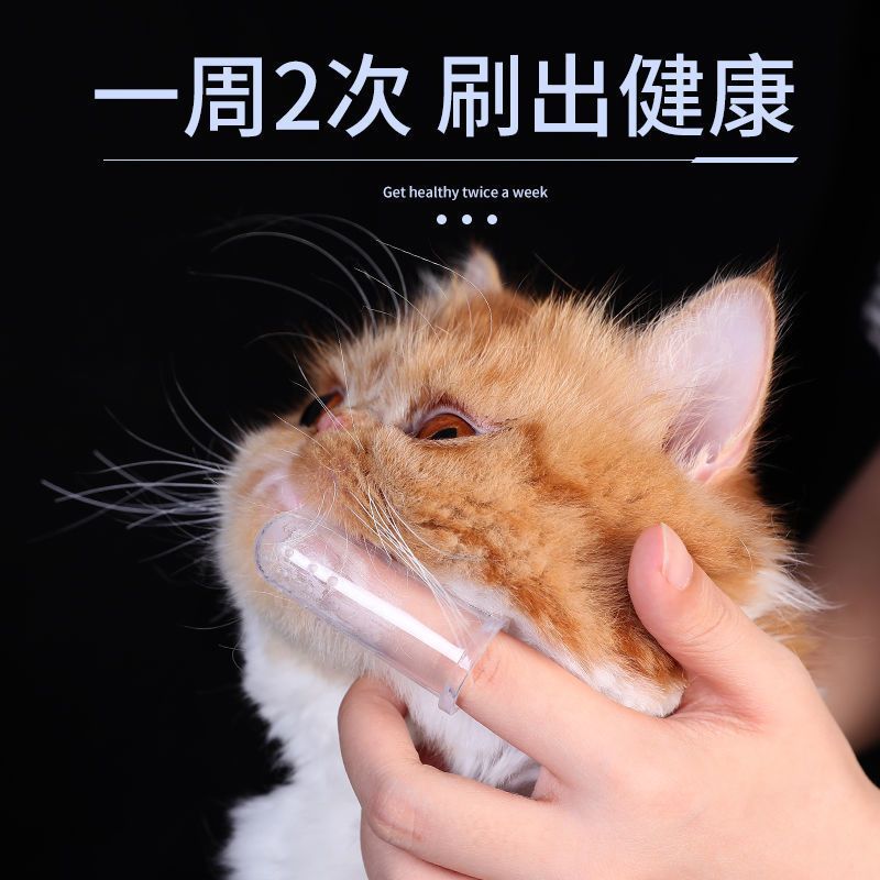 猫咪专用狗狗刷牙神器手指套牙刷牙膏套装泰迪宠物小型犬清洁用品