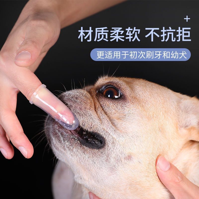 猫咪专用狗狗刷牙神器手指套牙刷牙膏套装泰迪宠物小型犬清洁用品