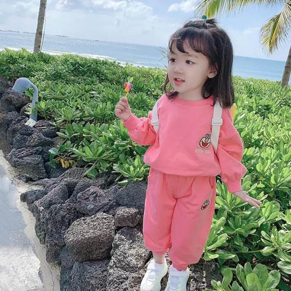 2023春秋新款女童刺繡圓領衛衣中大童寶寶洋氣休閒褲運動服兩件套