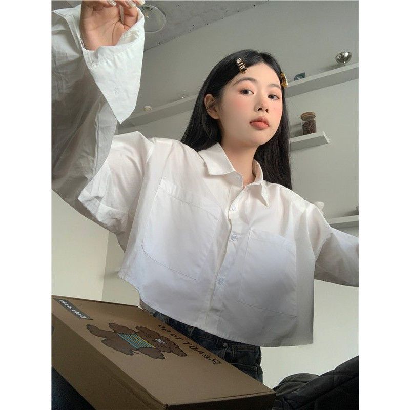 POLO領白色長袖襯衫女2023年秋季新款襯衣簡約短款顯瘦設計感上衣