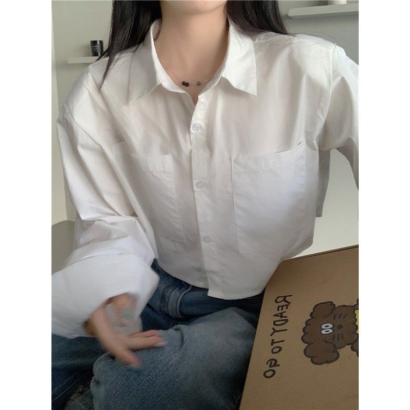 POLO领白色长袖衬衫女2023年秋季新款衬衣简约短款显瘦设计感上衣