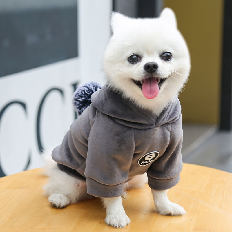 狗狗秋冬季衣服保暖舒适帅气卫衣泰迪柯基猫咪小型犬外出宠物衣服