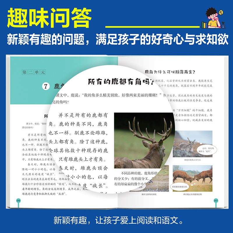 课本里的十万个为什么语文和科学版小学生1-6年级语文科学 图片 5