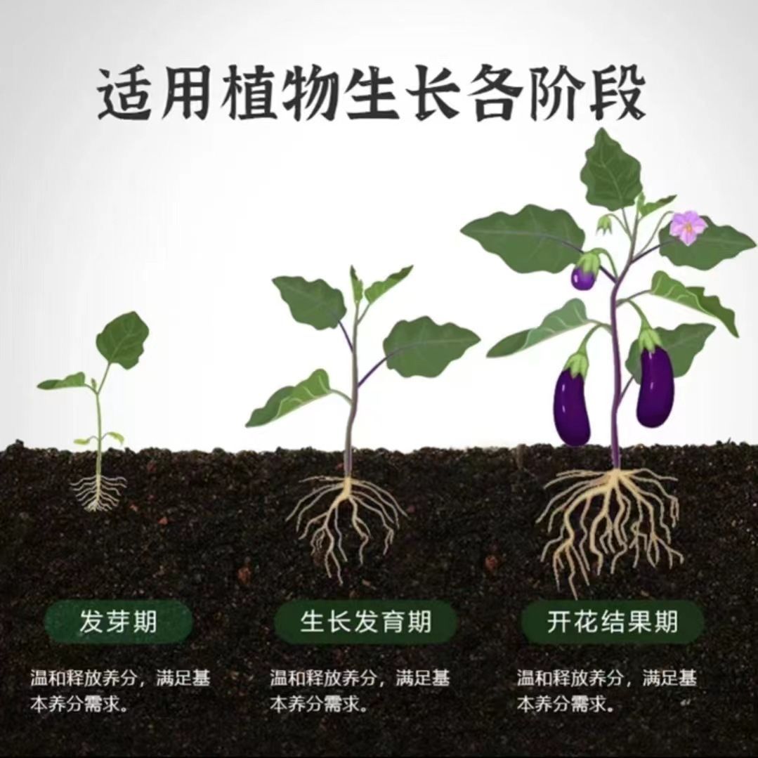 绿植肥缓释棒营养棒花肥料家用养花通用型盆栽植物棒状花卉缓释肥