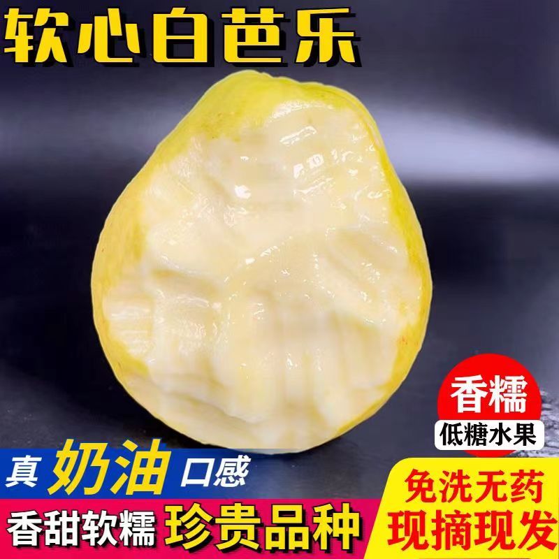 黄金奶油软糯芭乐胭脂红番石榴软心鸡屎果白心正宗台湾新鲜水果