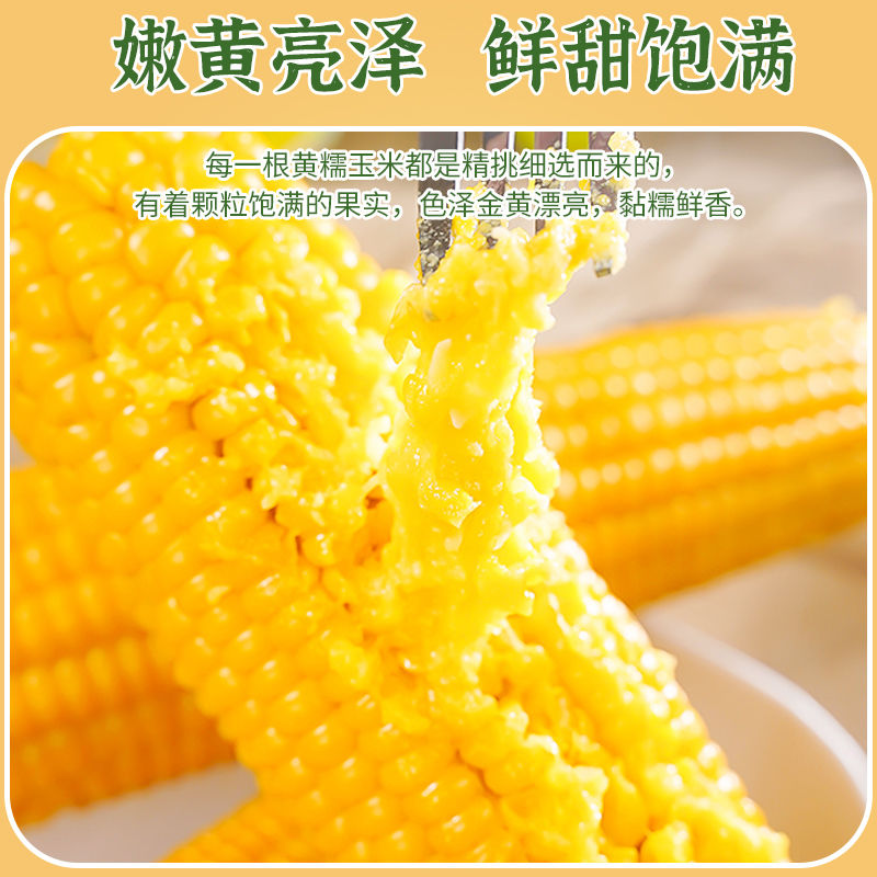 太粮东北黄糯玉米220g真空包装23年新玉米大棒粘玉米低脂鲜食玉米