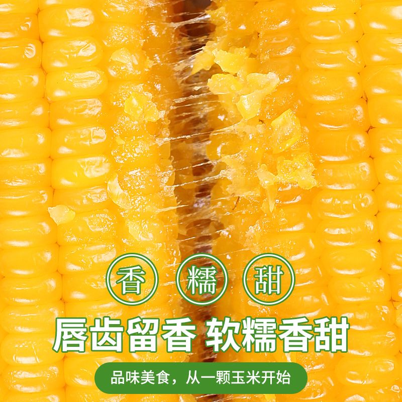 太粮东北黄糯玉米220g真空包装23年新玉米大棒粘玉米低脂鲜食玉米