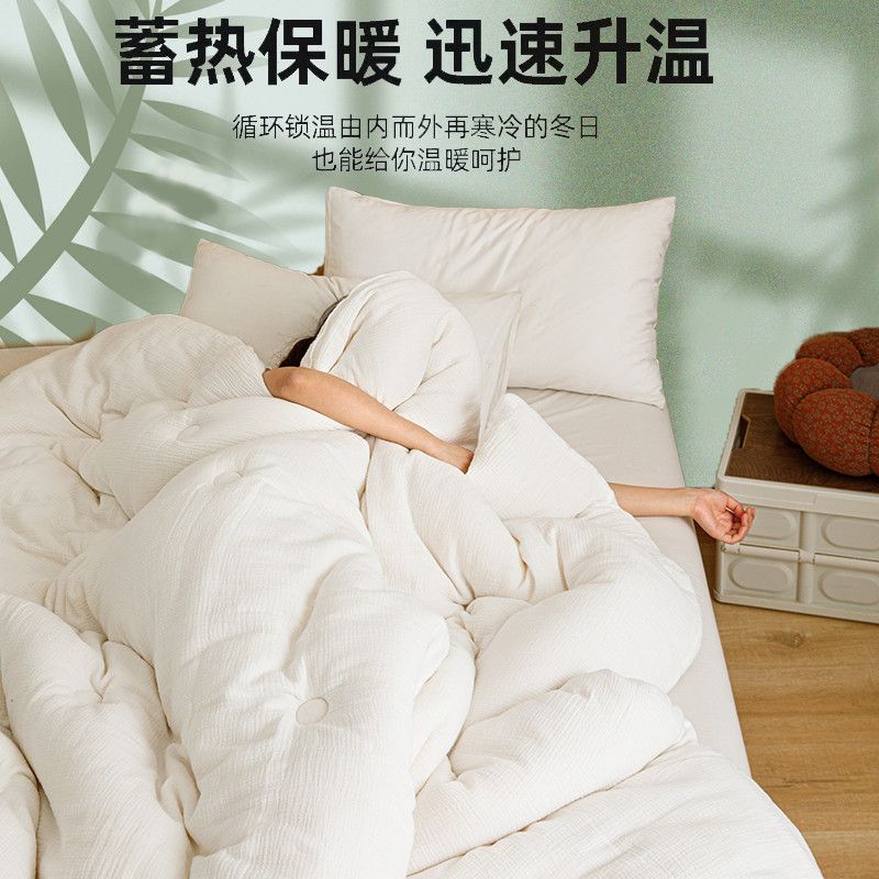 Class A washed long-staple cotton quilt soy fiber quilt core winter thickened quilt student dormitory single quilt core