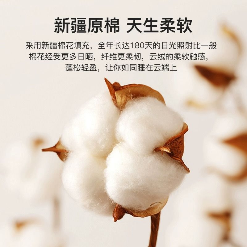 a类新疆棉花被子棉被全棉被芯一级棉冬天加厚保暖棉絮褥子冬被