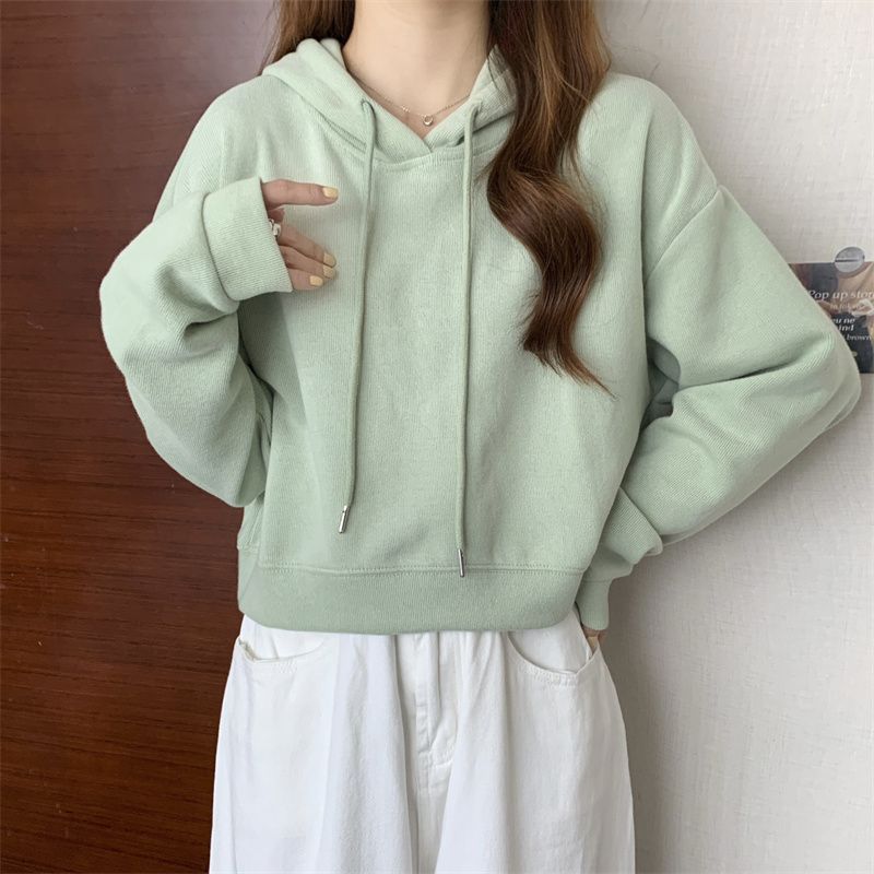 新款2023秋季短款連帽衛衣薄款寬鬆韓版高腰套頭長袖上衣女潮ins