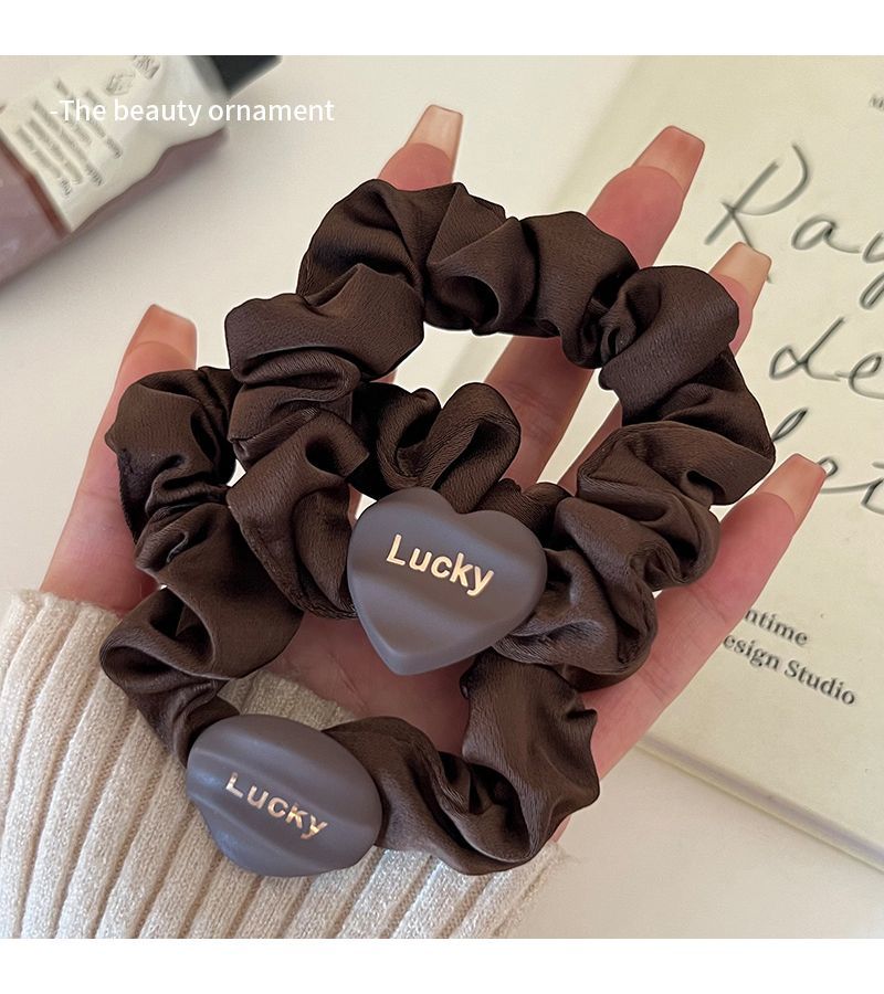 Sophisticated Letter Hair Loop For Ponytail Plate Hair Accessories_voghion.com