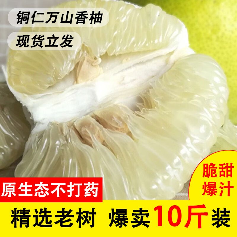 万山香柚新鲜白柚子雪峰柚安江雪峰冰糖柚脆甜多汁微苦微麻薄皮