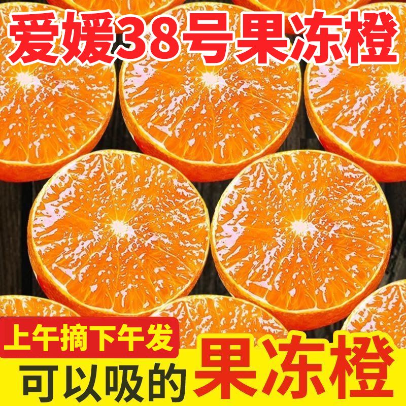 爱媛38果冻橙子水果新鲜应季水果超甜整箱批发橘子薄皮非冰糖脐橙