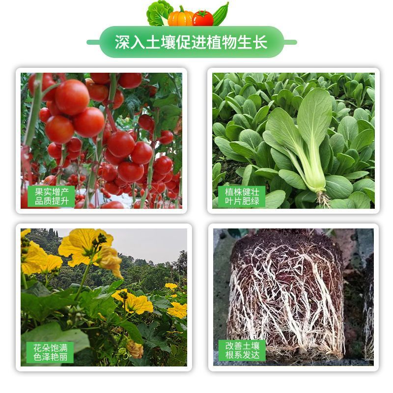 Special fertilizer for vegetables: leek, cucumber, tomato, cabbage, radish, fruit and vegetable green plant compound fertilizer granule slow-release fertilizer